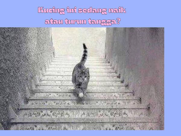 Deretan Ilusi Optik Ini Dijamin Bikin Kamu Garuk-garuk Kepala