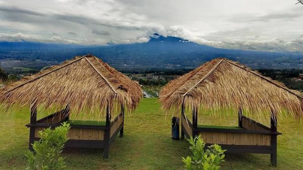 Adem dan Sejuk! 10 Kafe di Bogor Ini Punya Pemandangan Gunung Indah