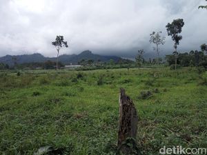 Gempa Jember Tak Berpengaruh pada Aktivitas Gunung Semeru Gempa Jember Tak Berpengaruh pada Aktivitas Gunung Semeru