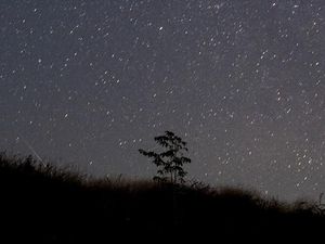 Kapan Terjadinya Hujan Meteor? Ini Jadwal Bulan Desember