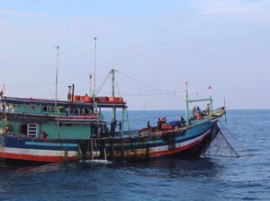 Ini Dia Wilayah Perikanan yang Tangkapannya Bakal Dibatasi