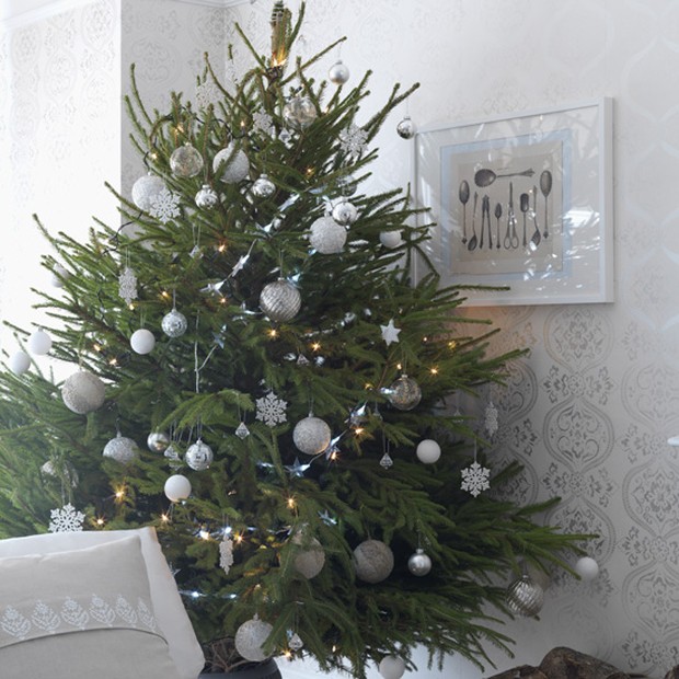 Seseorang yang suka pohon Natal Tradisional mencintai tradisi atau sangat tradisional.