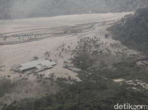 Total Korban Semeru yang Meninggal dan Hilang Hingga Sekarang Total Korban Semeru yang Meninggal dan Hilang Hingga Sekarang