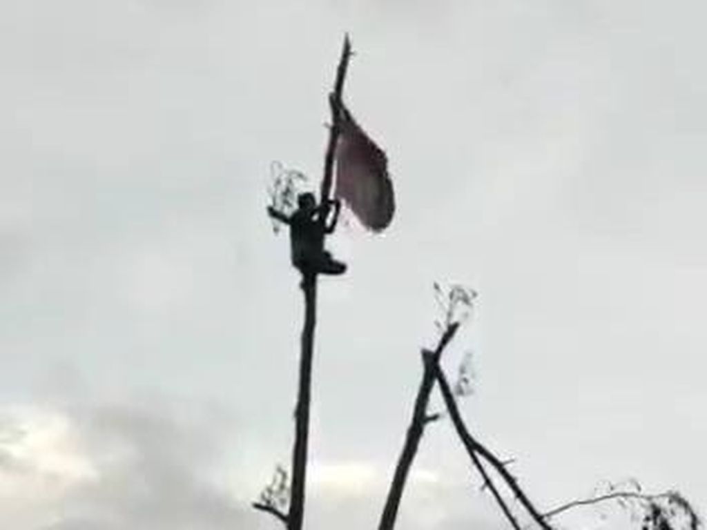 Viral Bendera Habib Rizieq Dikibarkan di Pohon Lokasi Erupsi Semeru