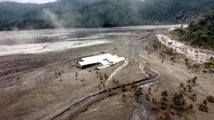 Abu Vulkanik Semeru Sapu Bersih Kampung Kamar Panjang