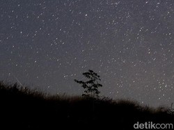 Hujan Meteor Itu Seperti Apa? Simak Penjelasannya!