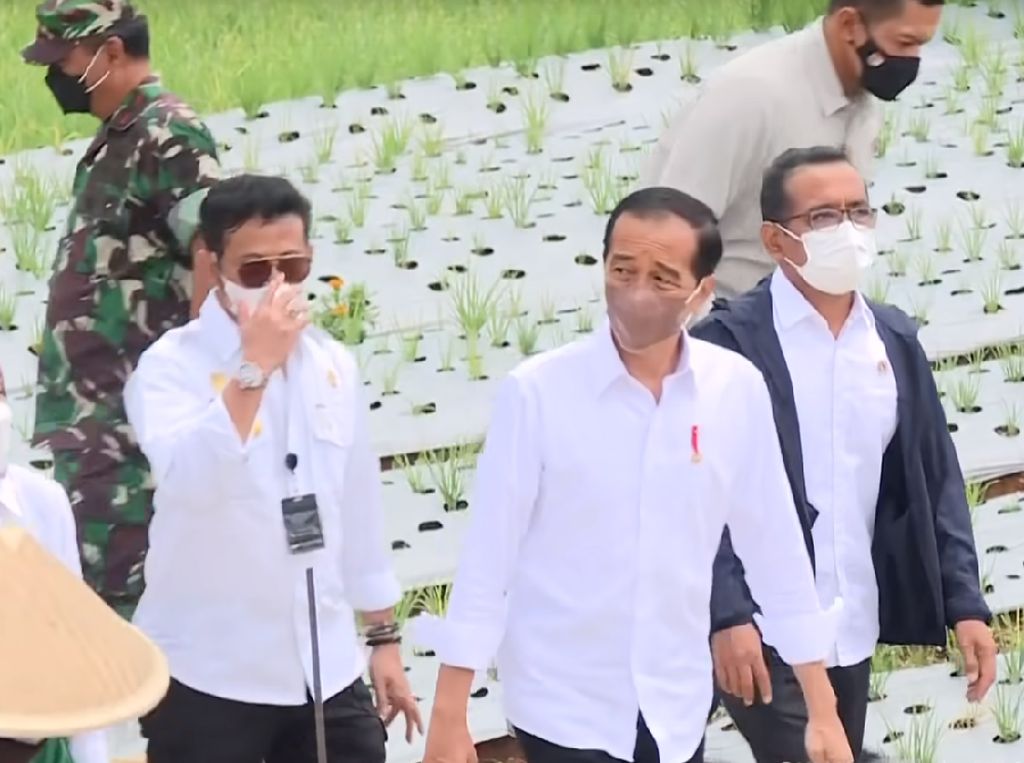 Jokowi Resmikan 4 Embung di Jateng Hari Ini, Mana Saja?