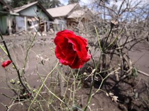Kisah Ketegaran Penyintas Erupsi Gunung Semeru
