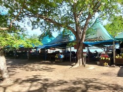 Gempa NTT, Wisatawan di Loh Liang Komodo Sempat Panik