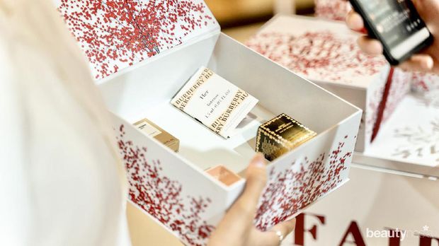 Luxasia Fairy Garden