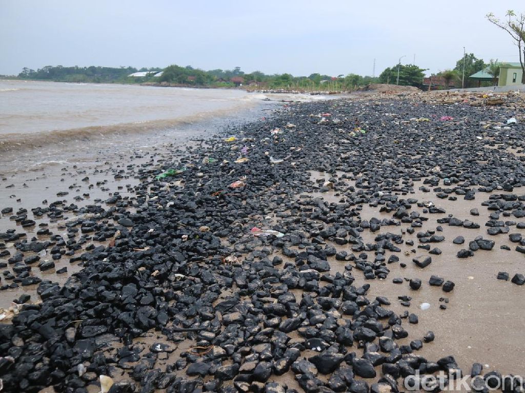 Pantai Sekembu Jepara Menghitam Tercemar Batu Bara