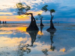 Jalan-jalan ke Sumba, Jangan Lewatkan 2 Spot Wisata Populer Ini