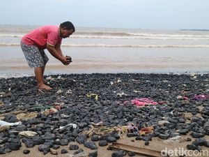 Potret Pantai Sekembu Jepara yang Tercemar Batu Bara Potret Pantai Sekembu Jepara yang Tercemar Batu Bara