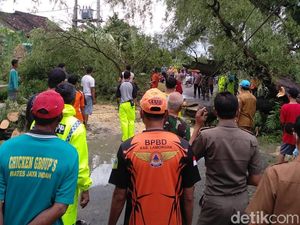 Hujan Deras Disertai Angin Kencang Tumbangkan 3 Pohon Besar di Lamongan