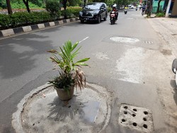 detikcom Do Your Magic: Pot Kembali Dipasang di Sumur Resapan Pondok Labu
