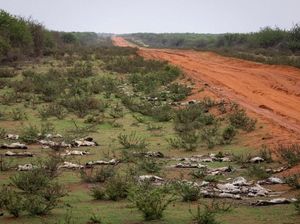 6 Bahaya Dampak Perubahan Iklim yang Siswa Perlu Tahu