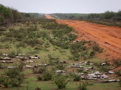 6 Bahaya Dampak Perubahan Iklim yang Siswa Perlu Tahu