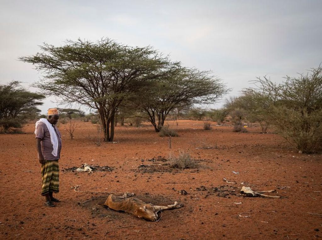 Miris! Perempuan di Kenya Rela Jual Diri Demi Dapat Air Bersih