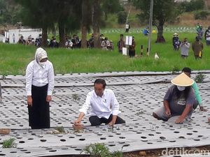 Momen Jokowi Telepon Mendag Usai Dicurhati Petani soal Impor Bawang Momen Jokowi Telepon Mendag Usai Dicurhati Petani soal Impor Bawang