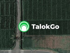 TalokGo, Aplikasi Karya BUMDes di Malang Ini Bantu Promosi Wisata-UMKM 