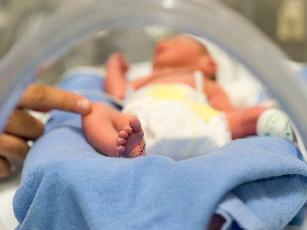 Cara Daftar BPJS Kesehatan untuk Bayi Baru Lahir, Mudah Tanpa Ribet