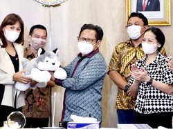 Waket DPR Dorong Penyempurnaan Regulasi Perlindungan Hewan