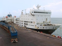 Harga Hewan Ternak di Australia Cetak Rekor Baru Mendekati Rp 50 Ribu per Kilogram