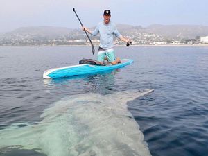 Ada Makhluk Laut Aneh di Bawah Pria Ini, Kamu Pernah Lihat Tidak?