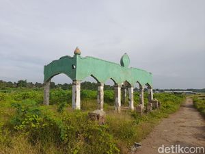 Musim Hujan, Kawasan Surut Waduk Jatigede Jadi Padang Rumput