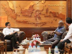 Mendes Yakin Dana Desa Percepat Merauke Jadi Lumbung Pangan Nasional
