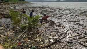 Musim Hujan, Sampah Penuhi Waduk Jatigede, Sumedang