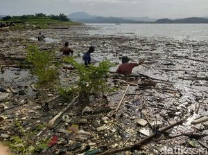Musim Hujan, Sampah Penuhi Waduk Jatigede, Sumedang