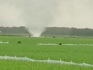 Puting Beliung yang Terjang Jatim Hari Ini Disebabkan Oleh Eddy