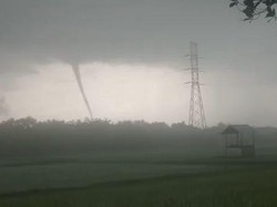 Puting Beliung Terjang Areal Persawahan di Bojonegoro