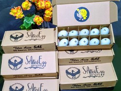 Modal Rp 100.000, Bisnis Telur Asin Hasilkan Omzet Puluhan Juta