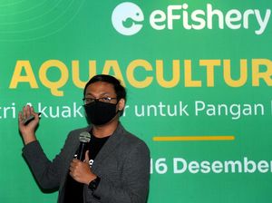 Gara-gara eFishery, Anak Muda Rela Balik ke Kampung Urus Kolam