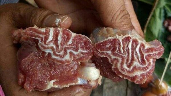 10 Makanan Berlafaz Allah SWT Ini Sempat Gegerkan Netizen