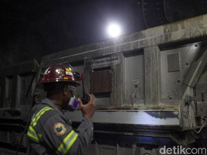 Freeport Buka 12 Lowongan Kerja, Ini Syarat hingga Gaji yang Ditawarkan Freeport Buka 12 Lowongan Kerja, Ini Syarat hingga Gaji yang Ditawarkan