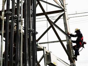 PLN Dibentuk Subholding, Bagaimana Nasib Pegawainya?