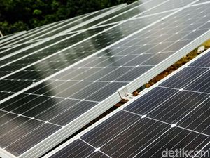 Terkuak! Ini Perusahaan yang Mau Bangun Pabrik Panel Surya di RI