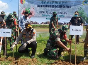 Ribuan Mangrove Ditanam di Pesisir Selatan Trenggalek Cegah Abrasi Laut
