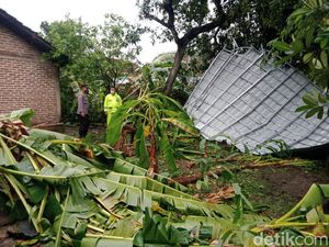 Update Dampak Puting Beliung di Madiun, 7 Orang Luka dan 515 Bangunan Rusak