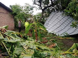 Update Dampak Puting Beliung di Madiun, 7 Orang Luka dan 515 Bangunan Rusak