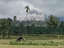 Wapres Batal Datang Saat Semeru Kembali Erupsi hingga Banjir Lahar Menerjang