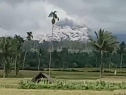 Wapres Batal Datang Saat Semeru Kembali Erupsi hingga Banjir Lahar Menerjang