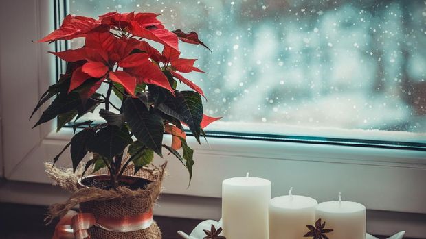 Christmas home decoration. Copy space.