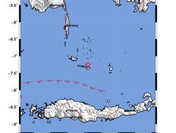 BMKG Catat 663 Gempa Susulan Usai Gempa M 7,4 di Laut Flores NTT