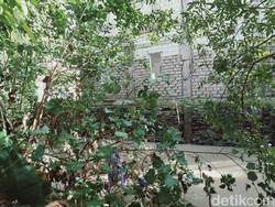 Sungai Buntung Klaten Meluap Genangi Rumah, Warga Duga Ini Penyebabnya