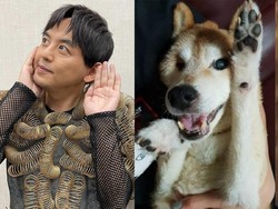 Duh, Artis Ini Percaya Jika Calon Bayinya Adalah Reinkarnasi Anjing Miliknya