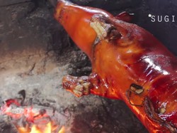 6 Racikan Bahan Agar Kulit Babi Guling Renyah dan Berkilau